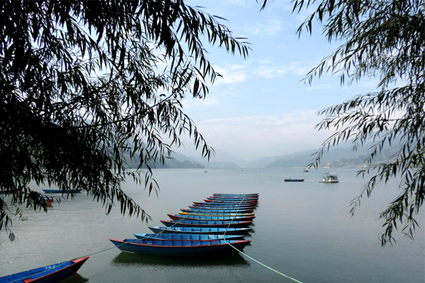 Chitwan Jungle Safari Tour From Gorakhpur